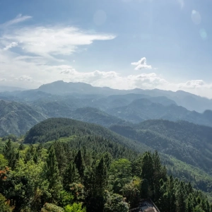 Панорамы