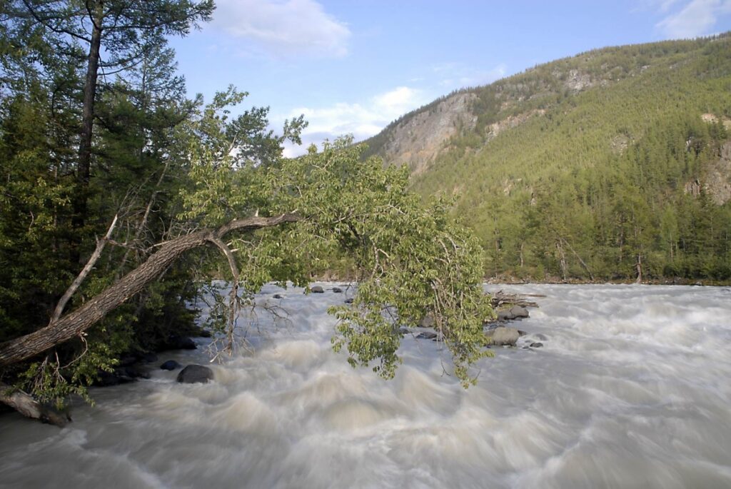 altai_042_20140225_2023335930