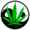 logo-55