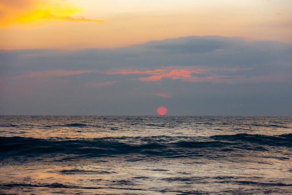 Gallery_Lanka_2023_054