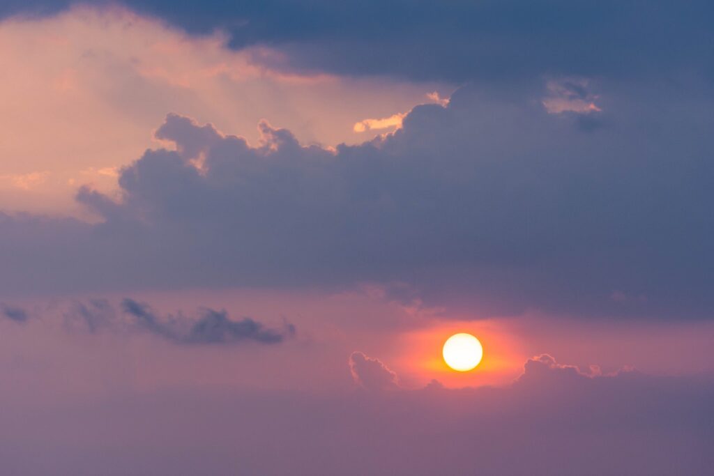 Gallery_Lanka_2023_101