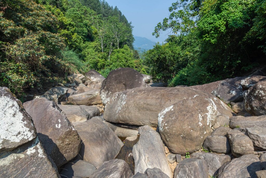 Gallery_Lanka_2023_154