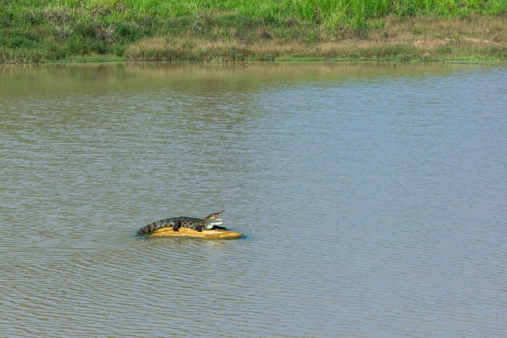 Gallery_Lanka_2023_196