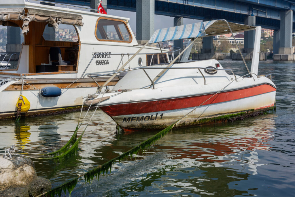 Stambul_2025_024
