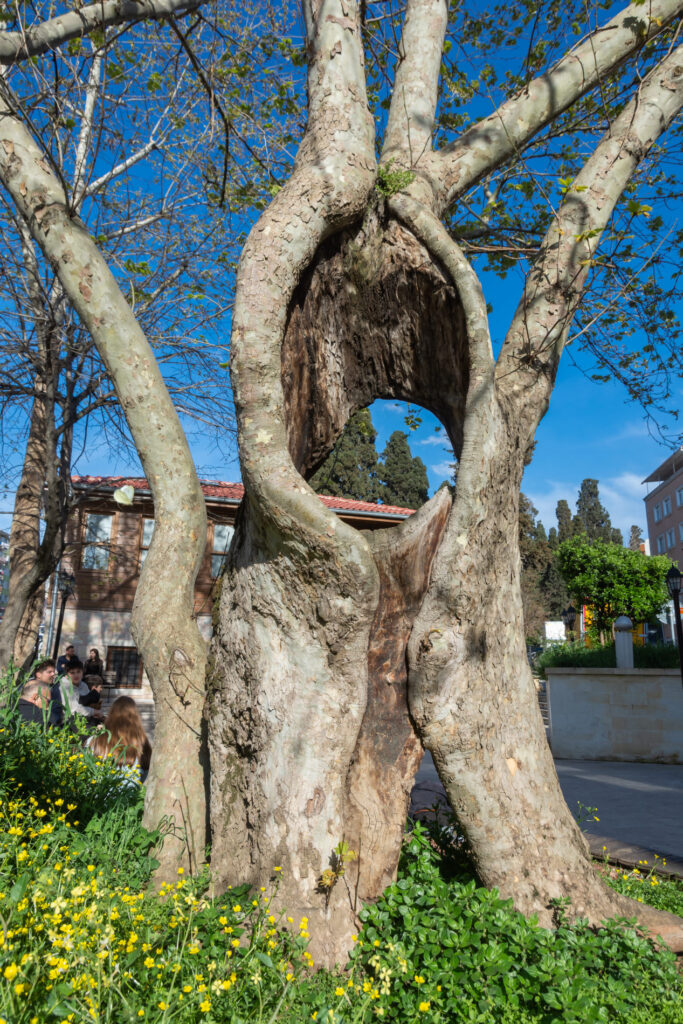 Stambul_2025_107