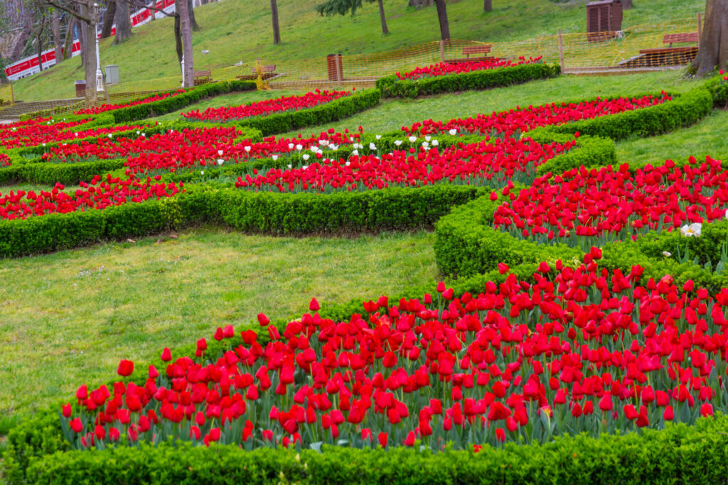Stambul_2025_153